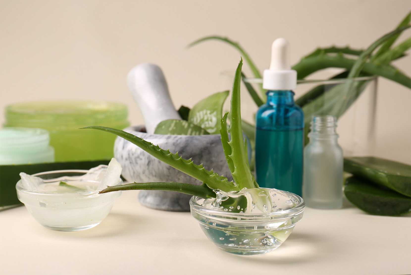 kozmetický koncept s aloe vera